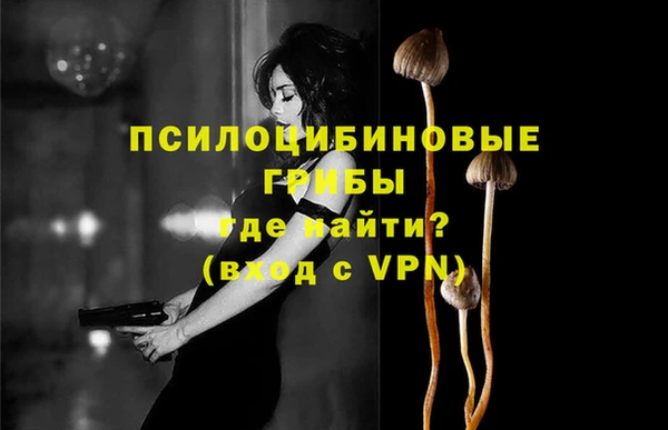 героин Алзамай