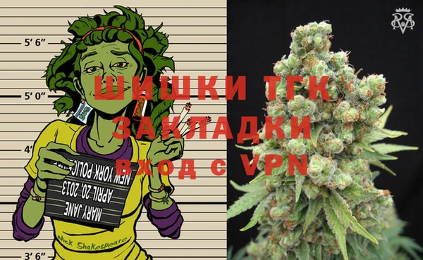 мдпв Надым