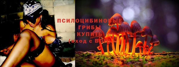 PSILOCYBIN Алексеевка