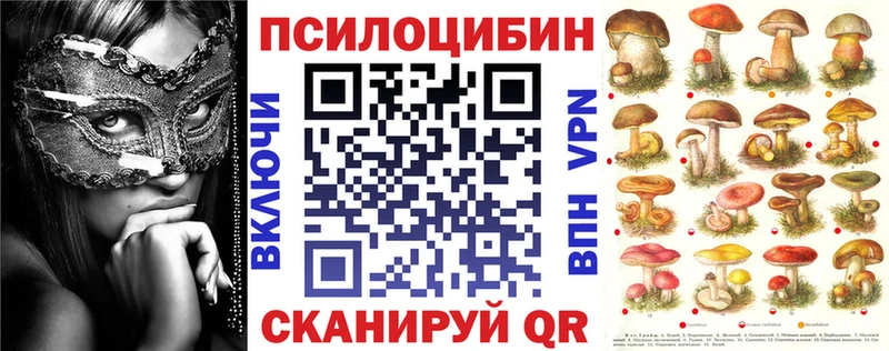 Галлюциногенные грибы мухоморы  ОМГ ОМГ как зайти  Нижний Тагил 